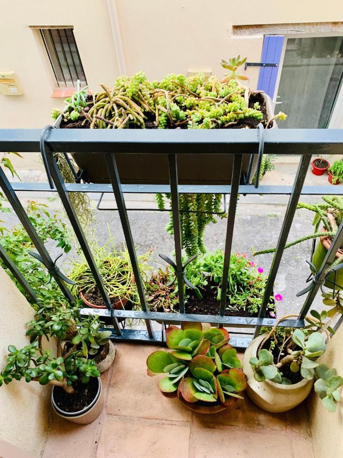 Maison Historique Rue Vermeille Argeles Sur Mer Zewnętrze zdjęcie