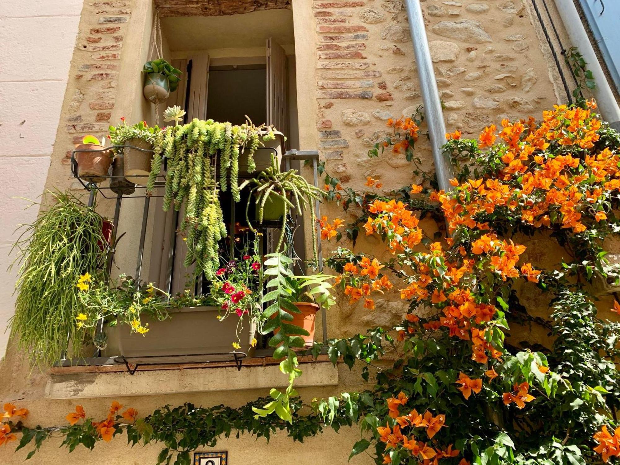 Maison Historique Rue Vermeille Argeles Sur Mer Zewnętrze zdjęcie