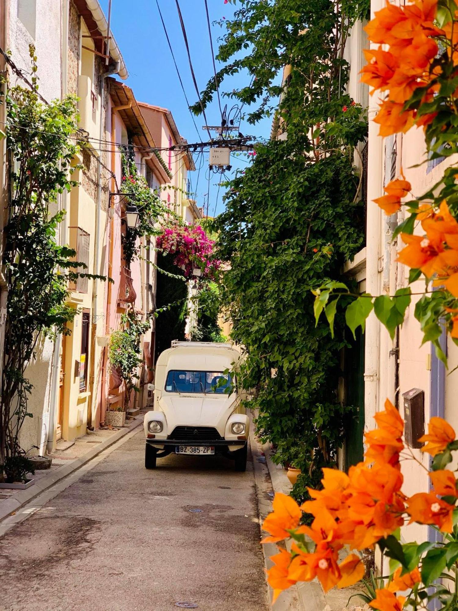 Maison Historique Rue Vermeille Argeles Sur Mer Zewnętrze zdjęcie